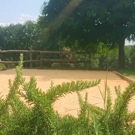 Aux 40 Ecus - Biloba Puycornet