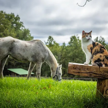 Aux 40 Ecus - Biloba