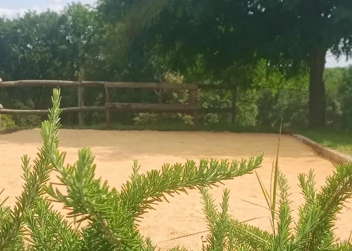 Aux 40 Ecus - Biloba Puycornet