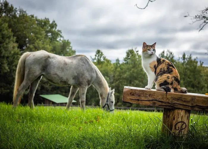 Aux 40 Ecus - Biloba